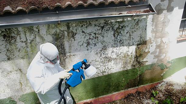 Top rated local Mold Remediation specialists in Thomasville, PA